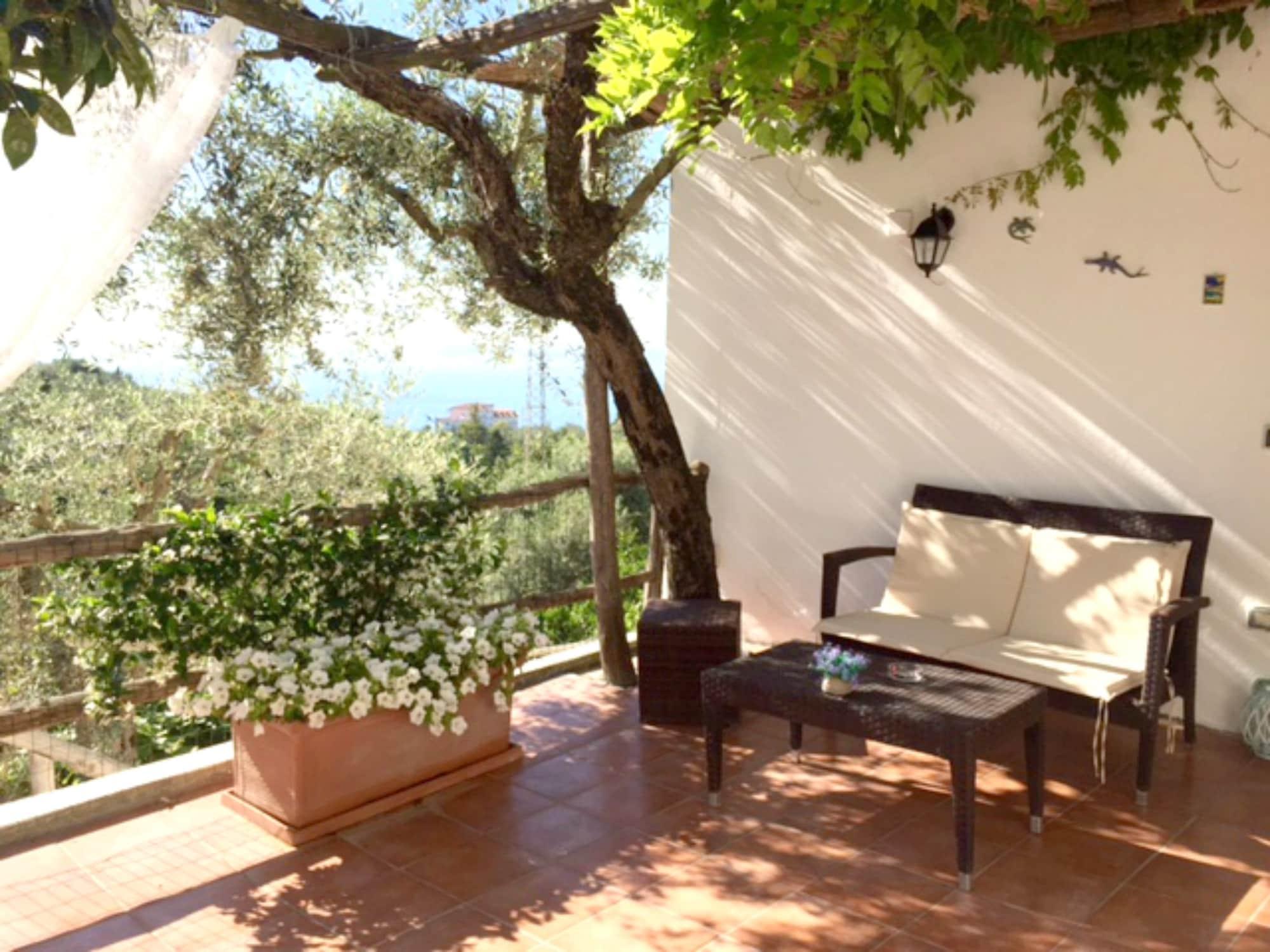 Villa Carolina Sorrento Private Heated Pool And Sea View Exterior foto